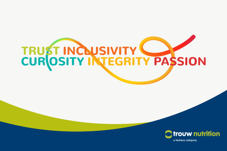 Our values