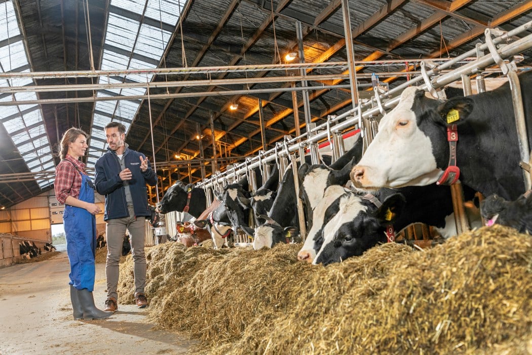 Utilizing the full milk production