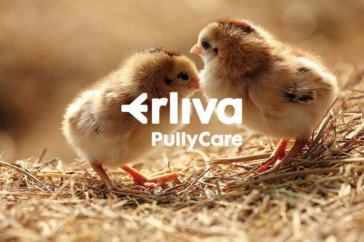 Erliva PullyCare