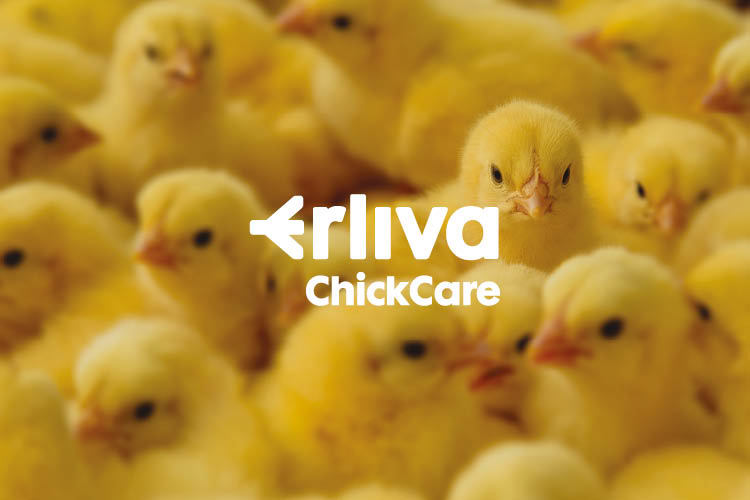 Erliva ChickCare