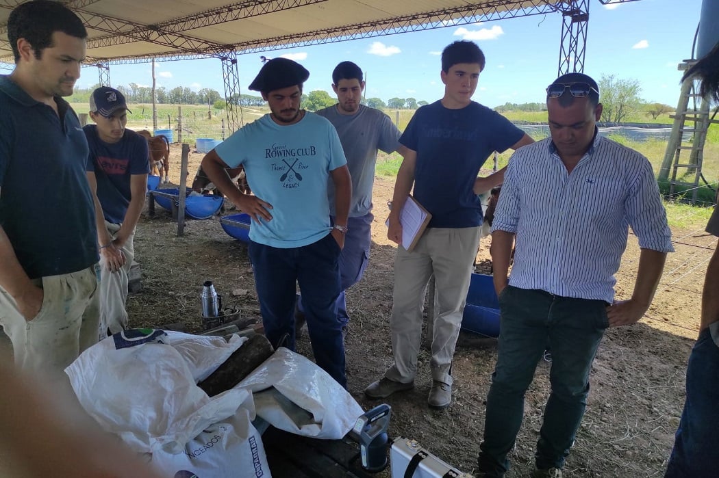 The Uruguayan dairy industry