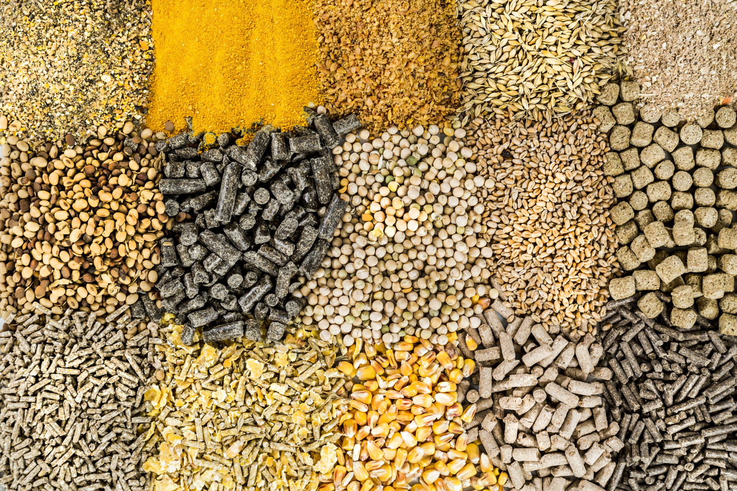 Ingredient Research
