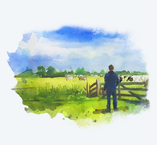 Watercolor image of a farmer looking over a field with cows