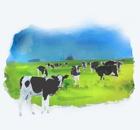 Watercolor image of cows in a field