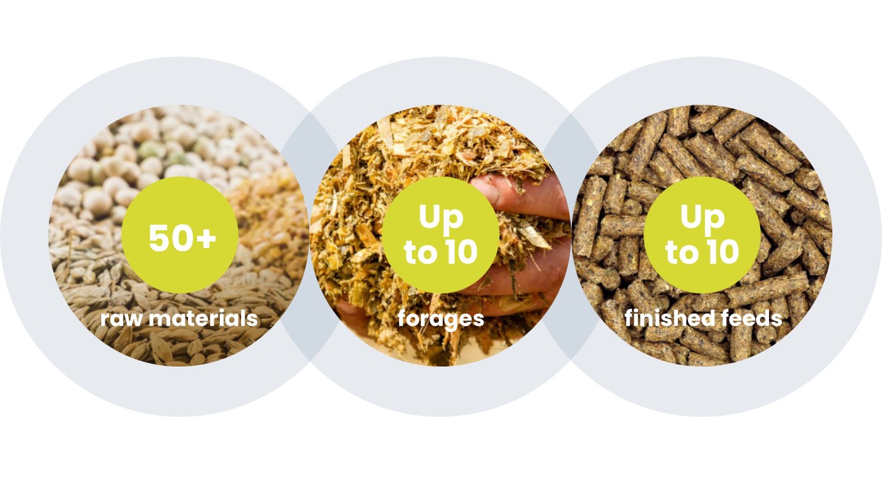 Three circles showing 50+ raw materials, up to 10 forages and up to 10 finished feeds