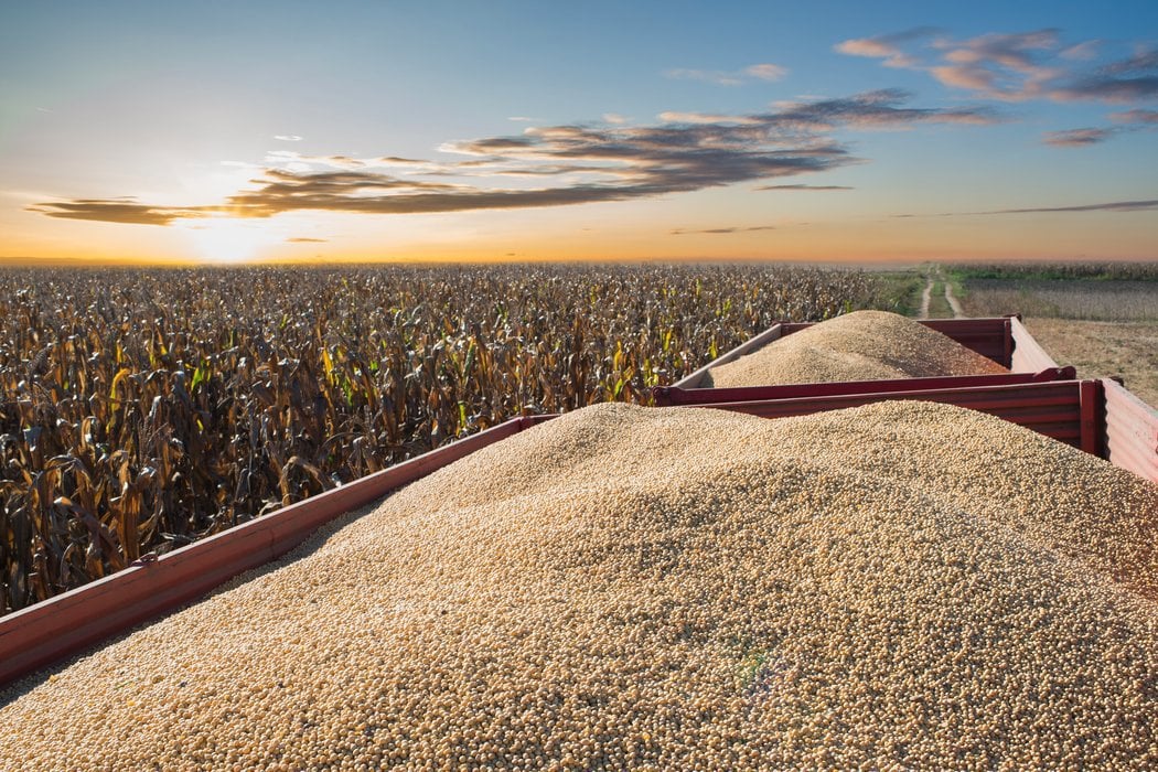 Feed safety