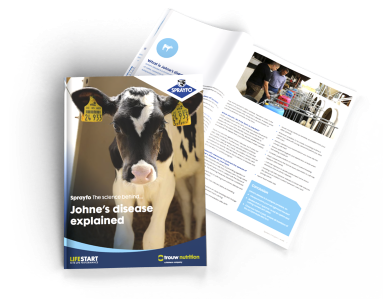Everything you should know about Johne's disease