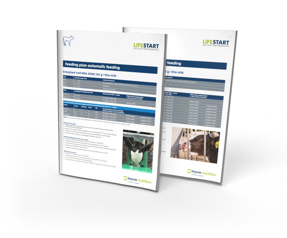 lifestart feeding