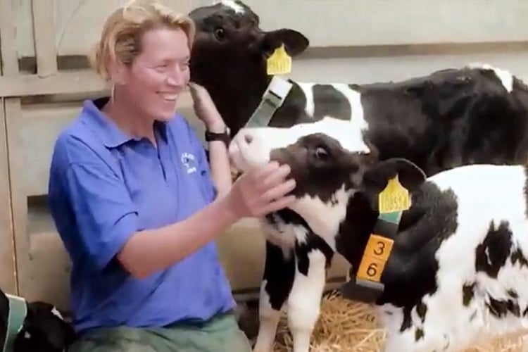 A life start feeding