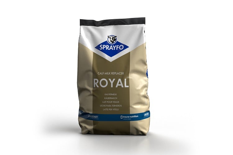 sprayfo royal